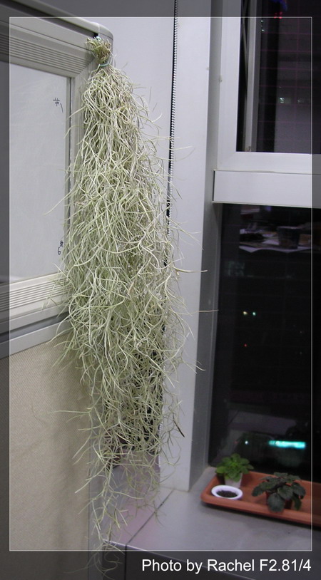 [����]������������������(p3-4�»��ϼ܇ޣ�