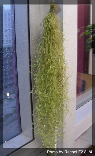 [����]������������������(p3-4�»��ϼ܇ޣ�