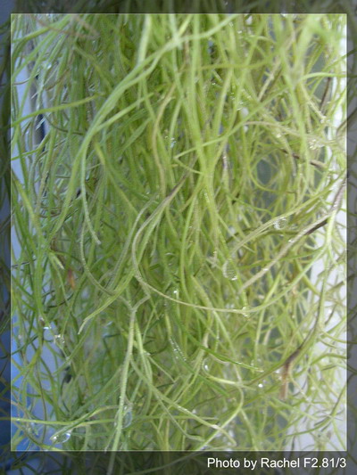 [����]������������������(p3-4�»��ϼ܇ޣ�