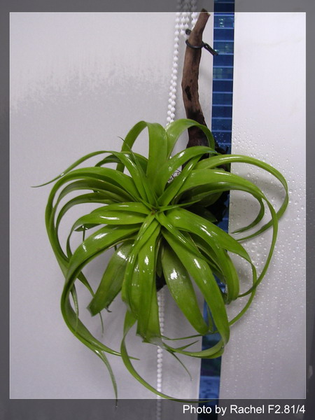 [����]������������������(p3-4�»��ϼ܇ޣ�