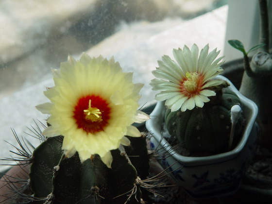 �������������С��~