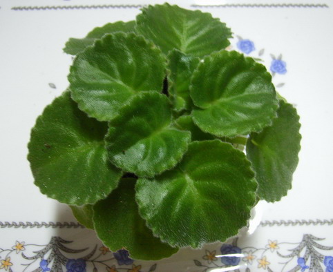 9��21  ˼���ԭ����Զ���˹��־��и�ǿ�����������Ծ��ڴˣ� ���� *�������԰*