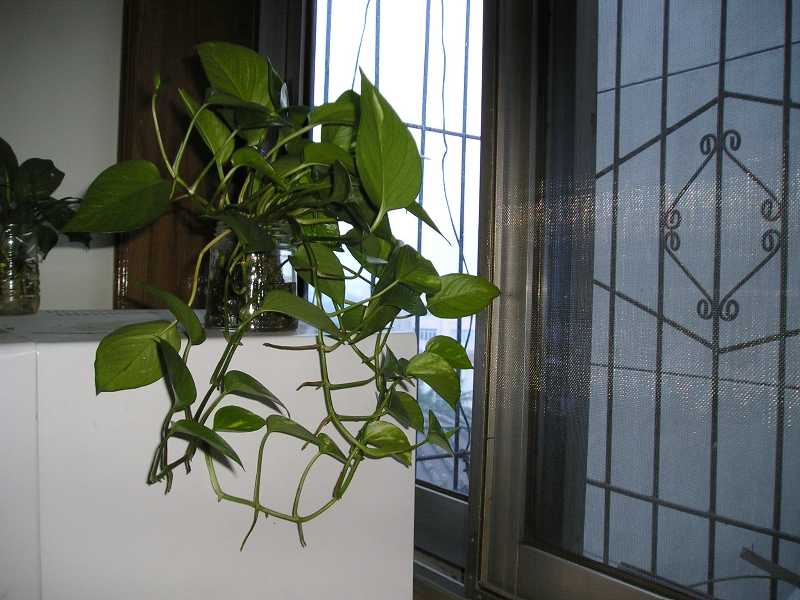 ����:���޵�����ù����ô��