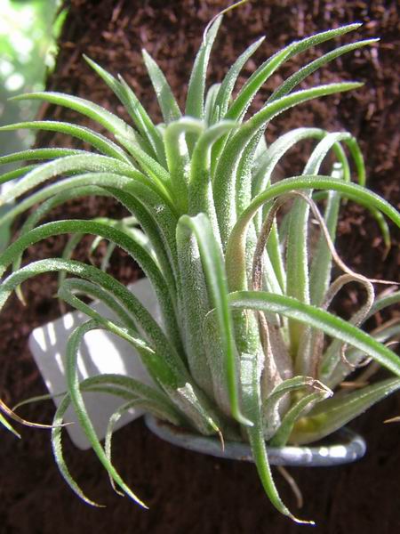 �ҵĿշ�ƴ��