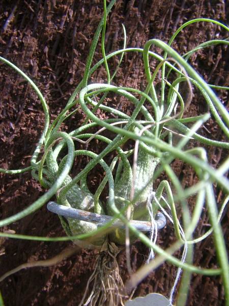 �ҵĿշ�ƴ��