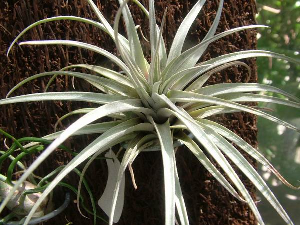 �ҵĿշ�ƴ��