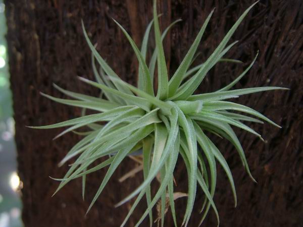 �ҵĿշ�ƴ��