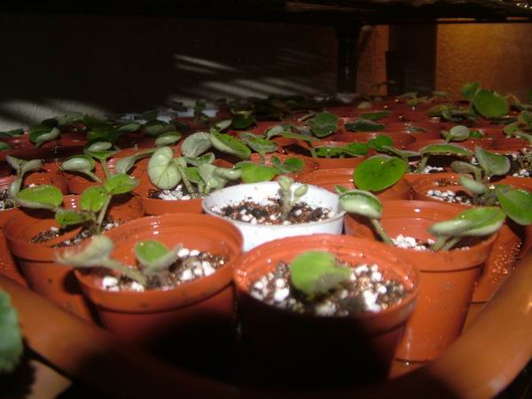 żҲ��������---���ҵ�������������ջ�