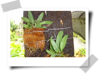 [��ͼ]����ڕ��Ҽ��m��