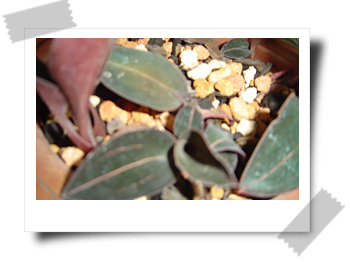 [��ͼ]����ڕ��Ҽ��m��