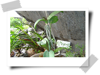 [��ͼ]����ڕ��Ҽ��m��