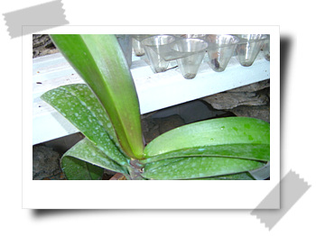 [��ͼ]����ڕ��Ҽ��m��