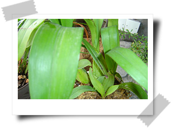 [��ͼ]����ڕ��Ҽ��m��