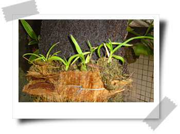 [��ͼ]����ڕ��Ҽ��m��