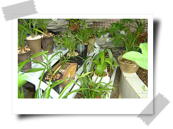 [��ͼ]����ڕ��Ҽ��m��