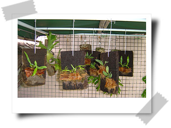 [��ͼ]����ڕ��Ҽ��m��