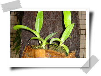 [��ͼ]����ڕ��Ҽ��m��