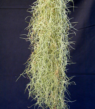 [����]��ؿ����������