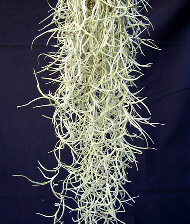 [����]��ؿ����������