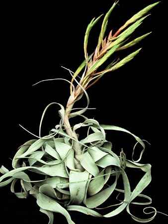 [����]��ؿ����������