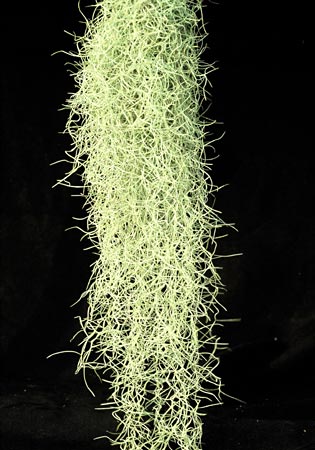 [����]��ؿ����������