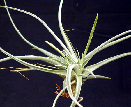 [����]��ؿ����������