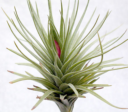 [����]��ؿ����������