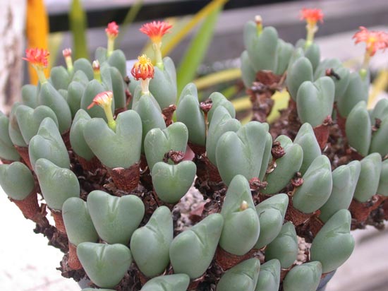 [����]��׶����---55¥��ʼ������ͨ��---