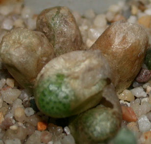 [����]��׶����---55¥��ʼ������ͨ��---