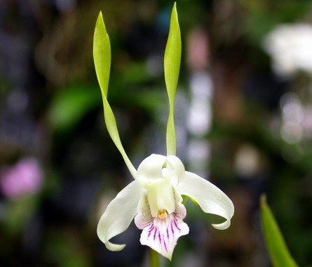 ��ʵĴ�ʯ��-------���ϲ��,��Ͷ��һƱ