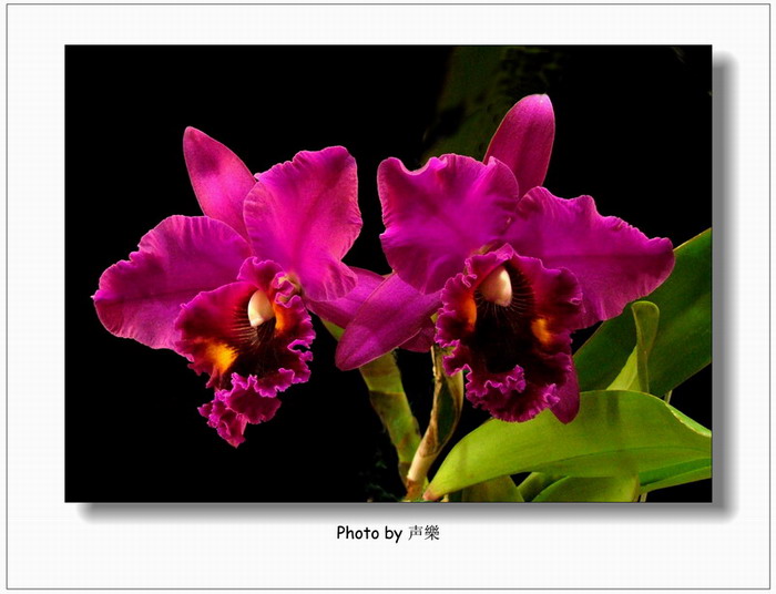 ÿ��һͼ------�����Ŀ�������˫��ͼƬ�� No.4