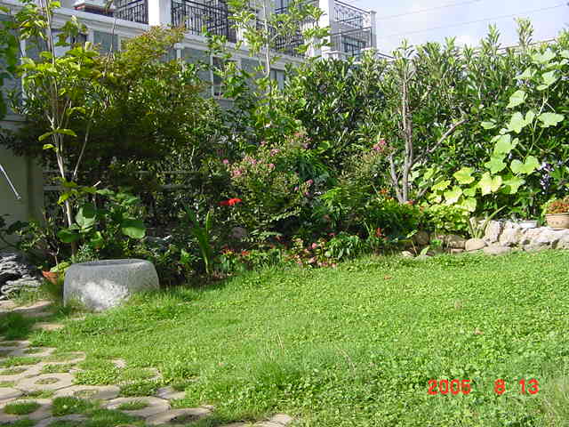 ð������ĸ��£����֡�������