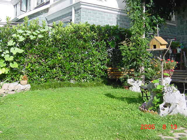 ð������ĸ��£����֡�������