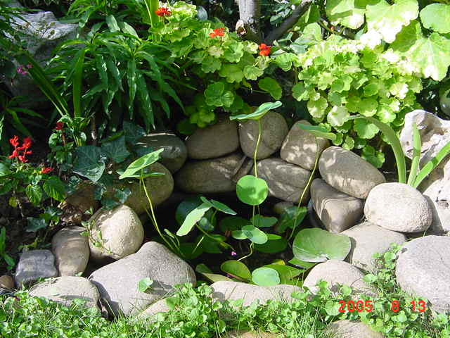 ð������ĸ��£����֡�������