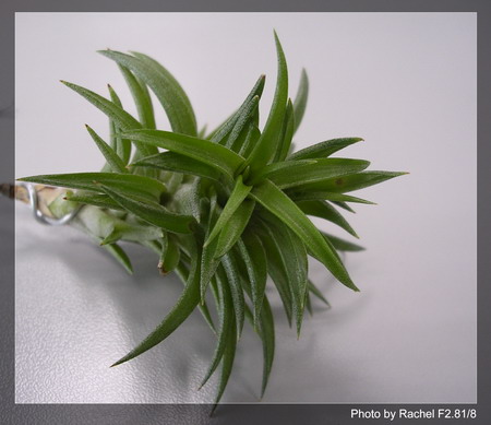 [����]������������������(p3-4�»��ϼ܇ޣ�