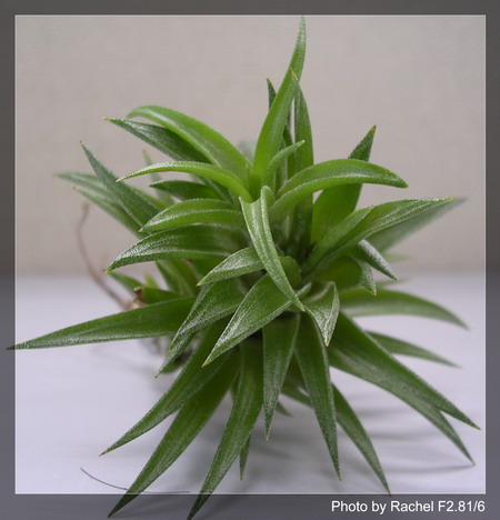 [����]������������������(p3-4�»��ϼ܇ޣ�