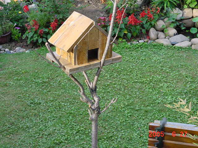 ð������ĸ��£����֡�������--�����ﲥ�滨԰�Ӽ�