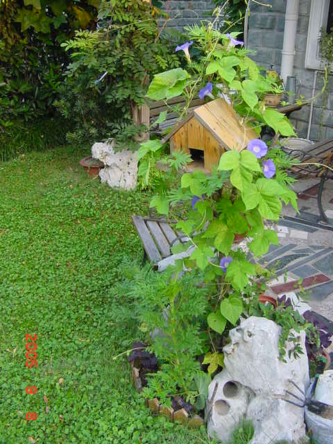 ð������ĸ��£����֡�������--�����ﲥ�滨԰�Ӽ�