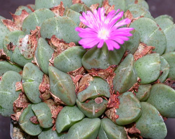 [����]��׶����---55¥��ʼ������ͨ��---