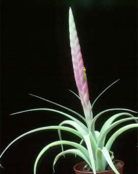 [����]��ؿ����������