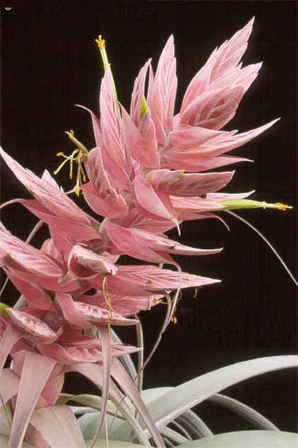 [����]��ؿ����������