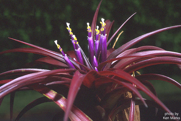 [����]��ؿ����������