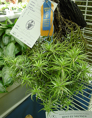 [����]��ؿ����������