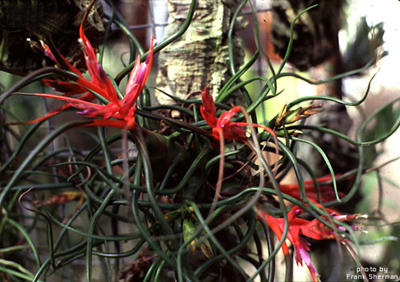 [����]��ؿ����������