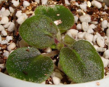 �ҵ���������������ȵú�����