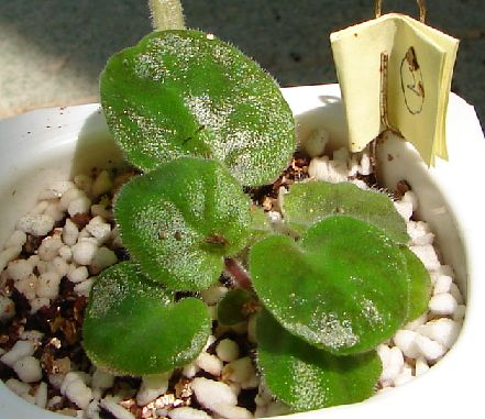 �ҵ���������������ȵú�����