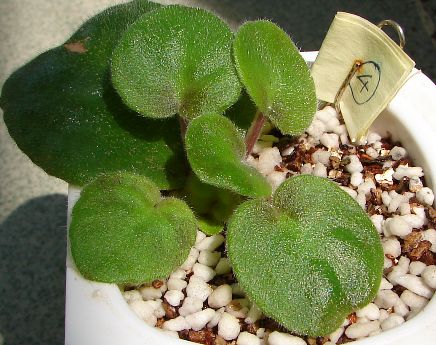 �ҵ���������������ȵú�����