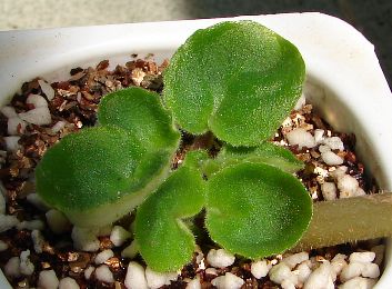 �ҵ���������������ȵú�����