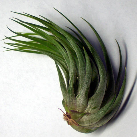 �ҵķ���֮�ҺͿ�������