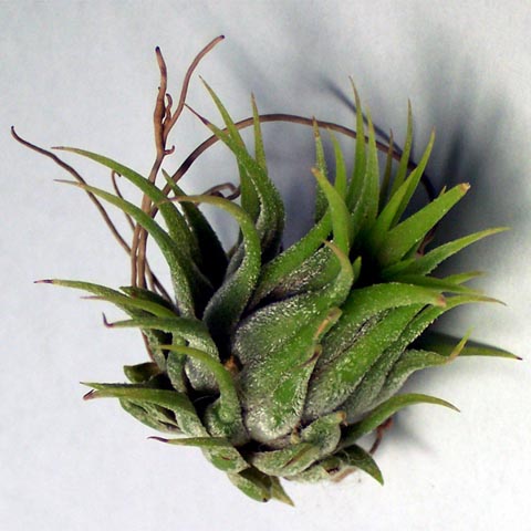 �ҵķ���֮�ҺͿ�������